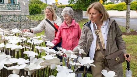 Remembrance Garden for babies opens in Laois
