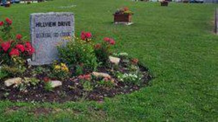 Permanent road repairs needed in Portlaoise estate says local councillor