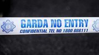 Woman arrested following suspected stabbing of man in Co Kilkenny