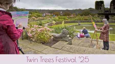 Twin Trees Festival Returns: Two Days of Art, Film & Creativity in Ballinakill – July 11th & 12th, 2025