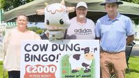 Cow Dung Bingo in Laois village!