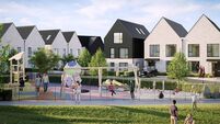 Families 'locked out' of their new €499,999 homes in Laois says Senator
