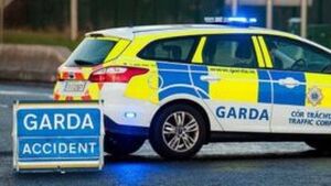 Gardaí seek two drivers after Laois crash death Gardaí seek two drivers after Laois crash death