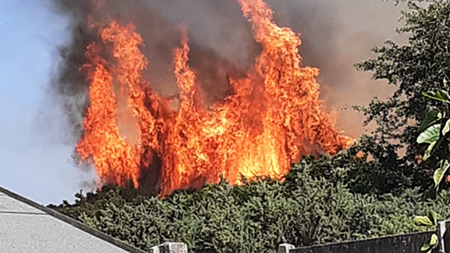 Investigation into cause of gorse fire which resulted in homes evacuated in Waterford city