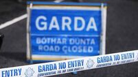 Pedestrian (30s) dies after being hit by truck in Dublin