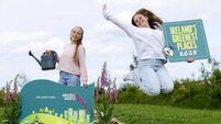 Call for Laois to enter ‘Ireland’s Greenest Places’ competition
