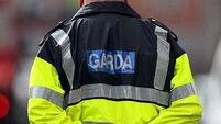 Retired Garda given permission to challenge Garda commissioner over Irish-speaking allowance
