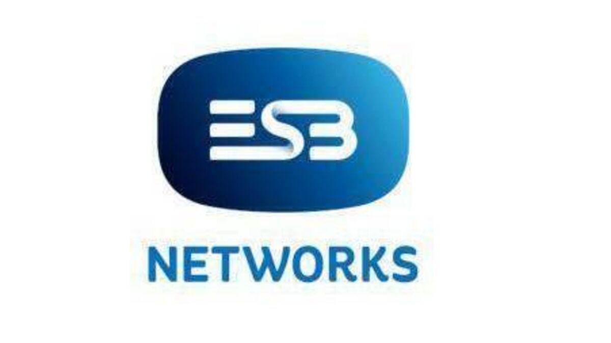 ESB Networks say it is not delaying connecting supply to Portlaoise housing estate