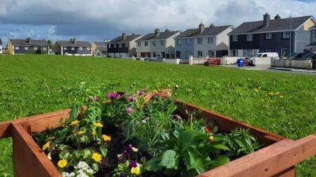 Entries now being accepted for best housing estate in Laois competition
