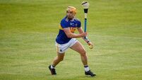 Laois garda and hurley-maker lead Tipperary to all-Ireland glory