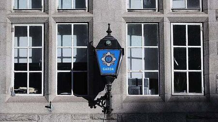 Gardaí appealing for witnesses in relation to assault in south Dublin