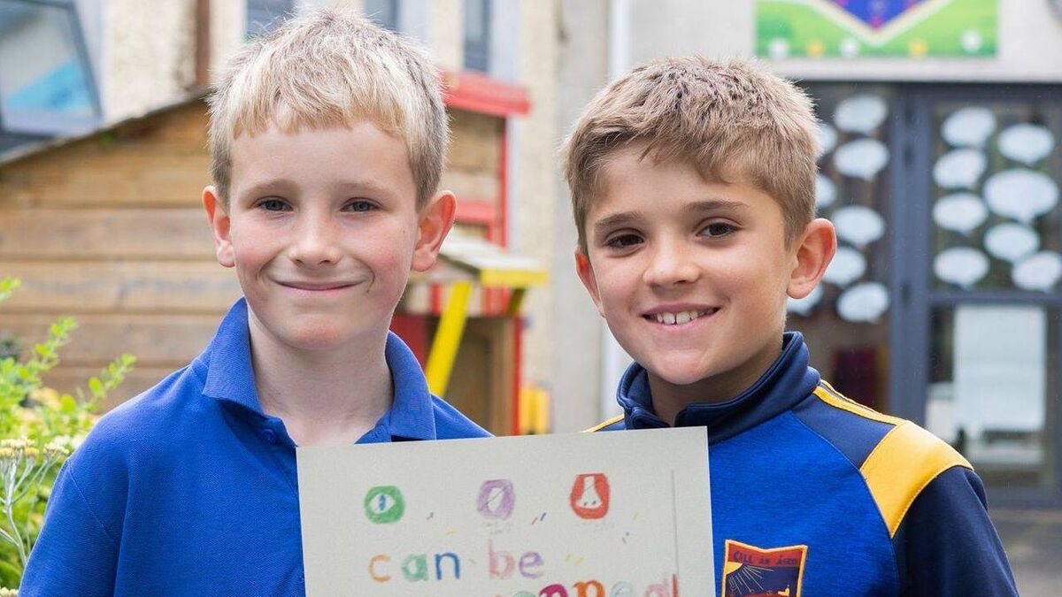 Success for two Laois students in nationwide competition