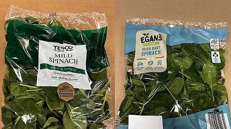 Some Supervalu and Tesco salad products recalled after Listeria detected