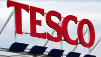 Tesco gets injunction over horses on land