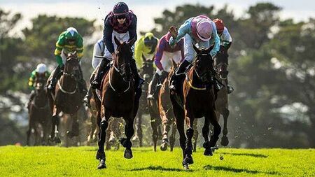 Ndaawi awarded Galway Hurdle in dramatic circumstances