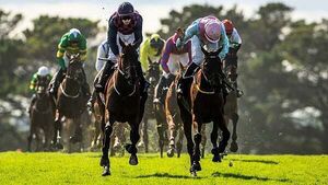 Ndaawi awarded Galway Hurdle in dramatic circumstances Ndaawi awarded Galway Hurdle in dramatic circumstances