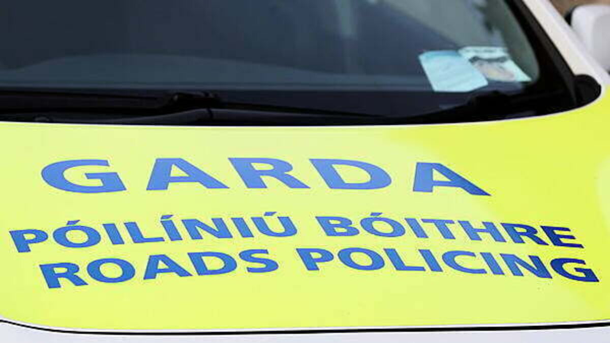 'Shocking' report reveals some gardaí are ‘openly hostile to doing their job’