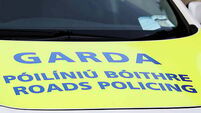 'Shocking' report reveals some gardaí are ‘openly hostile to doing their job’