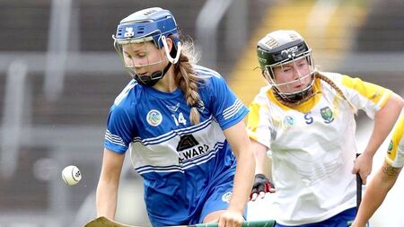 Big part of Laois's preparation has taken place off the pitch