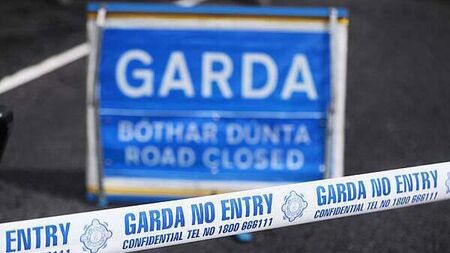 Man (30s) dies in Offaly collision