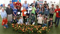 Summer camp on STEAM in Stradbally