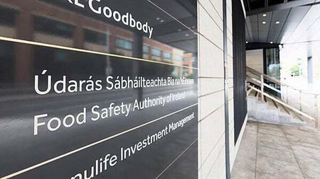 Owners of Limerick food premises face imprisonment over hygiene breaches