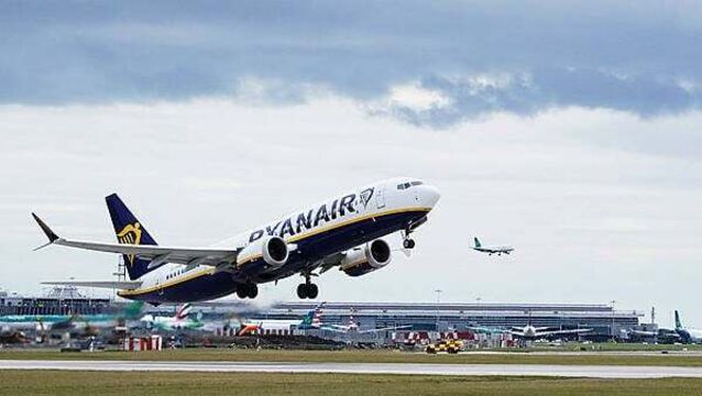 Dublin Airport flights suffer 278 bird strikes despite €600,000 spent on ‘scaring’ measures