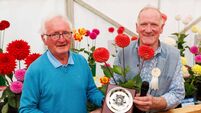 Laois man comes up smelling of roses at the Tullamore Show