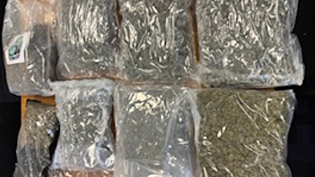 €120,000 cannabis seized and two men arrested in Co Wexford