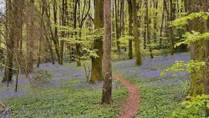 Nine Laois trails to share over €310,000