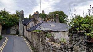 Report of indecent exposure in Kildare may have been call of nature Report of indecent exposure in Kildare may have been call of nature