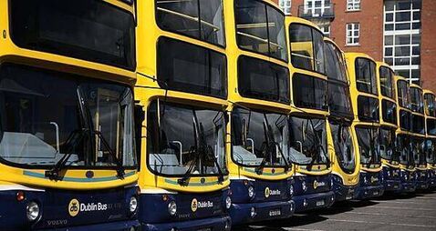 Dublin Bus driver (63) beaten with metal object in random daylight attack, court told