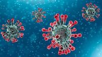 Covid-19 cases rose over the past three months with one death last week