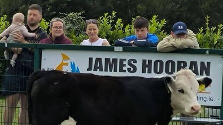 Full house for Laois cow dung bingo!