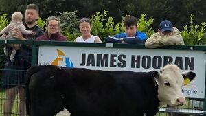 Full house for Laois cow dung bingo!