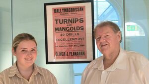 Mountmellick auction posters bring the past to life