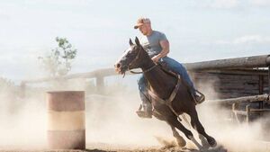 Rolling out the barrel for Laois on a world stage