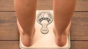 Discovery may lead to new drug treatments for Alzheimer’s and obesity Discovery may lead to new drug treatments for Alzheimer’s and obesity