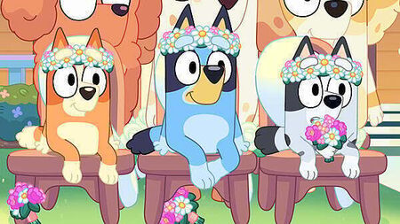 Bluey movie gets August 2027 release date