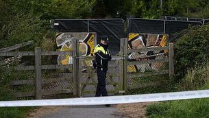 Date set for pub objection appeal involving 'godfather' of Dundon crime family