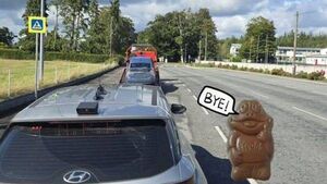 Car worth 2,500 Freddo bars seized by Laois gardaí