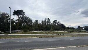 Search for missing boy feared dead continues in Dublin Search for missing boy feared dead continues in Dublin