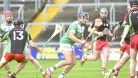 Rosenallis spring a shock but just fall short of securing top spot