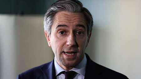 Simon Harris being ‘hounded out of office', says former Fine Gael TD