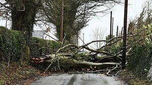Storms likely to be ‘much more destructive’ due to climate change, Met Éireann briefing says Storms likely to be ‘much more destructive’ due to climate change, Met Éireann briefing says