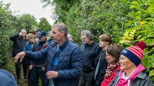 Visitors hedge their bets on Laois hedgerow walk
