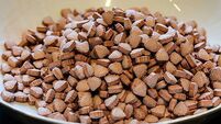 Highest dose of MDMA ever recorded in Ireland found at Electric Picnic
