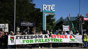 Cork Marts fined €4,250 after RTÉ programme highlighted animal welfare breaches