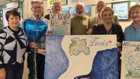President Higgins praises Lovely Laois Homecoming Festival
