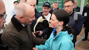 Tánaiste meets with family of Sean Brown